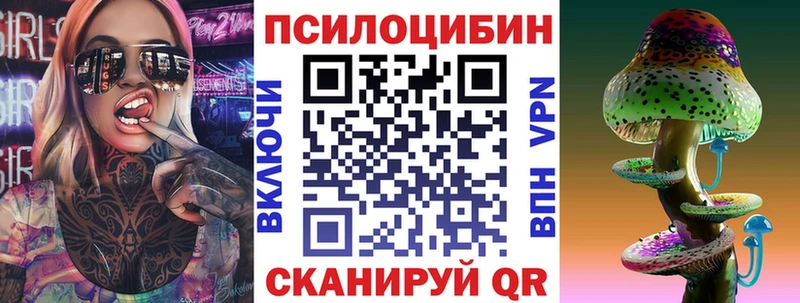 Псилоцибиновые грибы Psilocybe  Олёкминск 